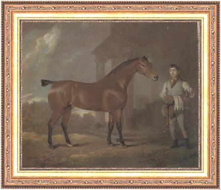 framed  David Dalby The Racehorse 